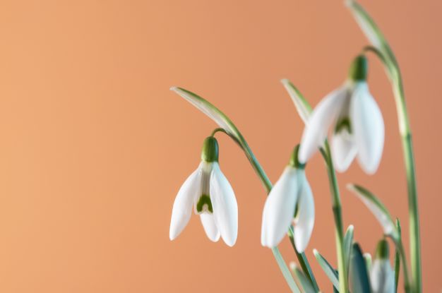 Gottesdienst, © Gemeindebriefdruckerei Gottesdienst, © Gemeindebriefdruckerei