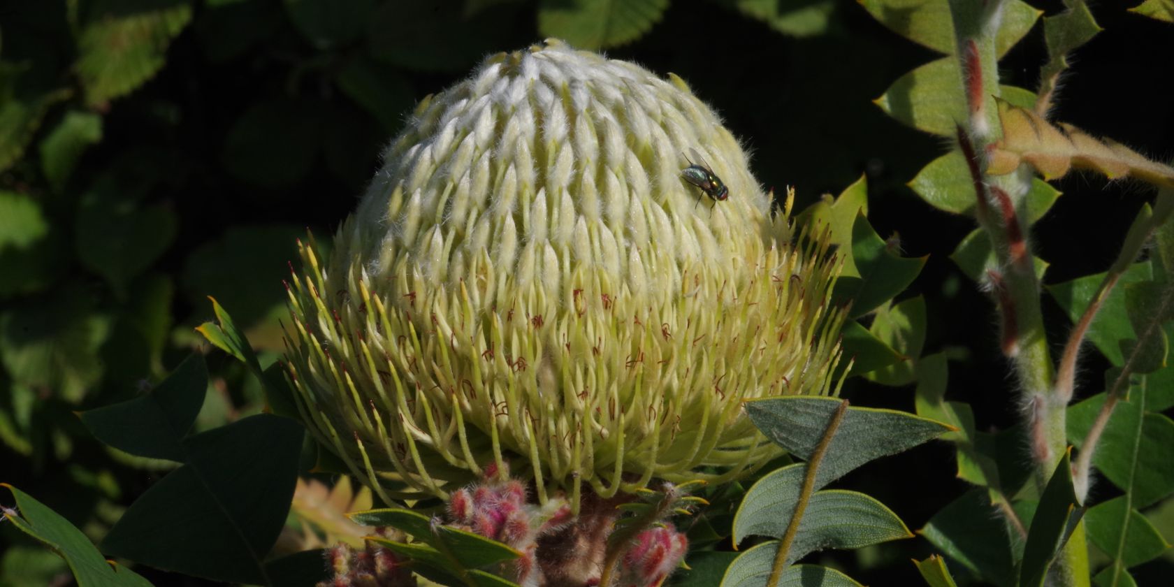 imgp3588, © Helge Masch imgp3588, © Helge Masch