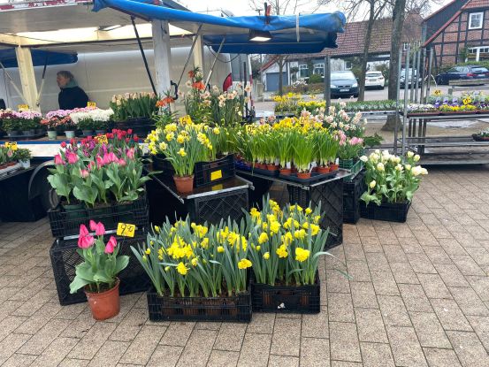 Wochenmarkt in Hermannsburg auf dem Rathausplatz, © Lüneburger Heide GmbH Wochenmarkt in Hermannsburg auf dem Rathausplatz, © Lüneburger Heide GmbH
