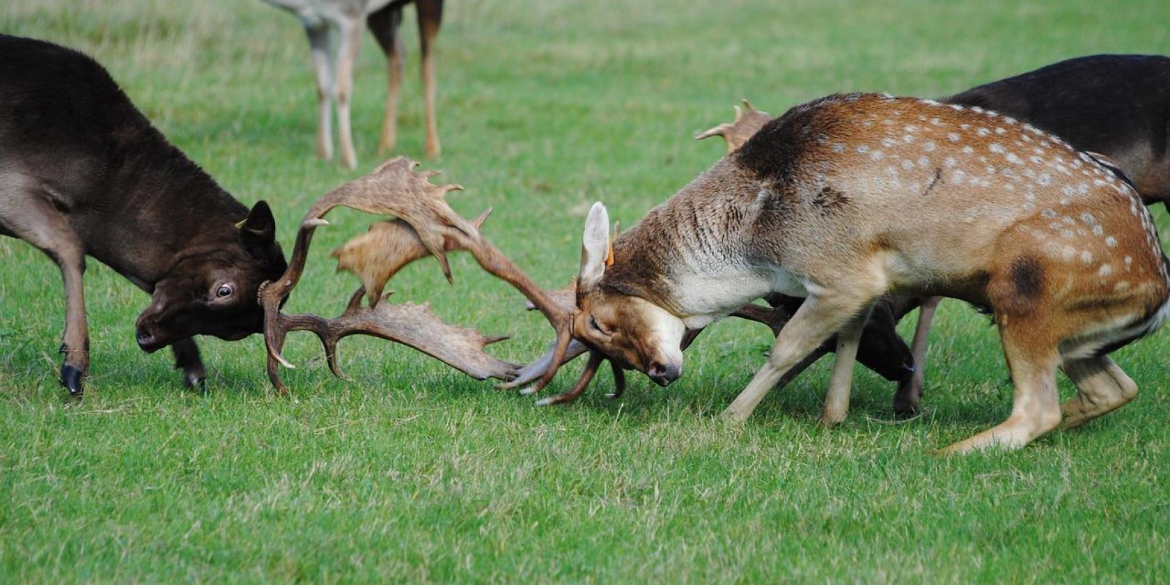 Bild von Joe Murphy auf Pixabay, © Bild von Joe Murphy auf Pixabay Bild von Joe Murphy auf Pixabay, © Bild von Joe Murphy auf Pixabay