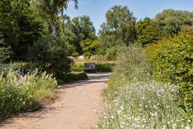 Feng Shui Workshop, © Marlene Hoberger Feng Shui Workshop, © Marlene Hoberger