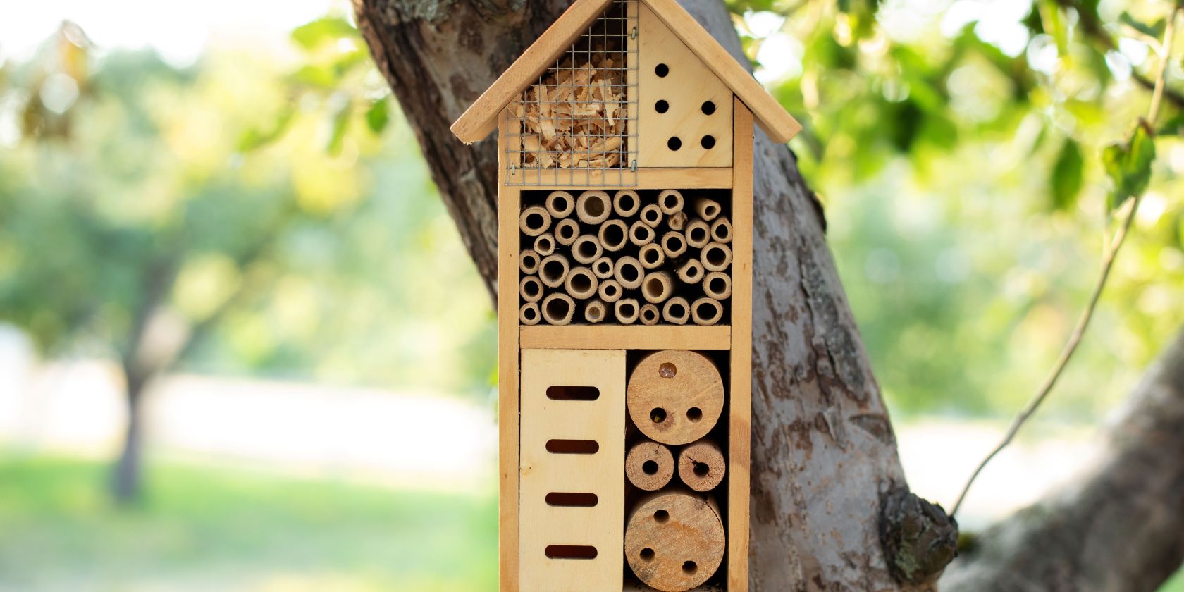 decorative-insect-house-garden-bee-home-hibernation-ecological-gardening, © user14907079 - Magnific.com decorative-insect-house-garden-bee-home-hibernation-ecological-gardening, © user14907079 - Magnific.com