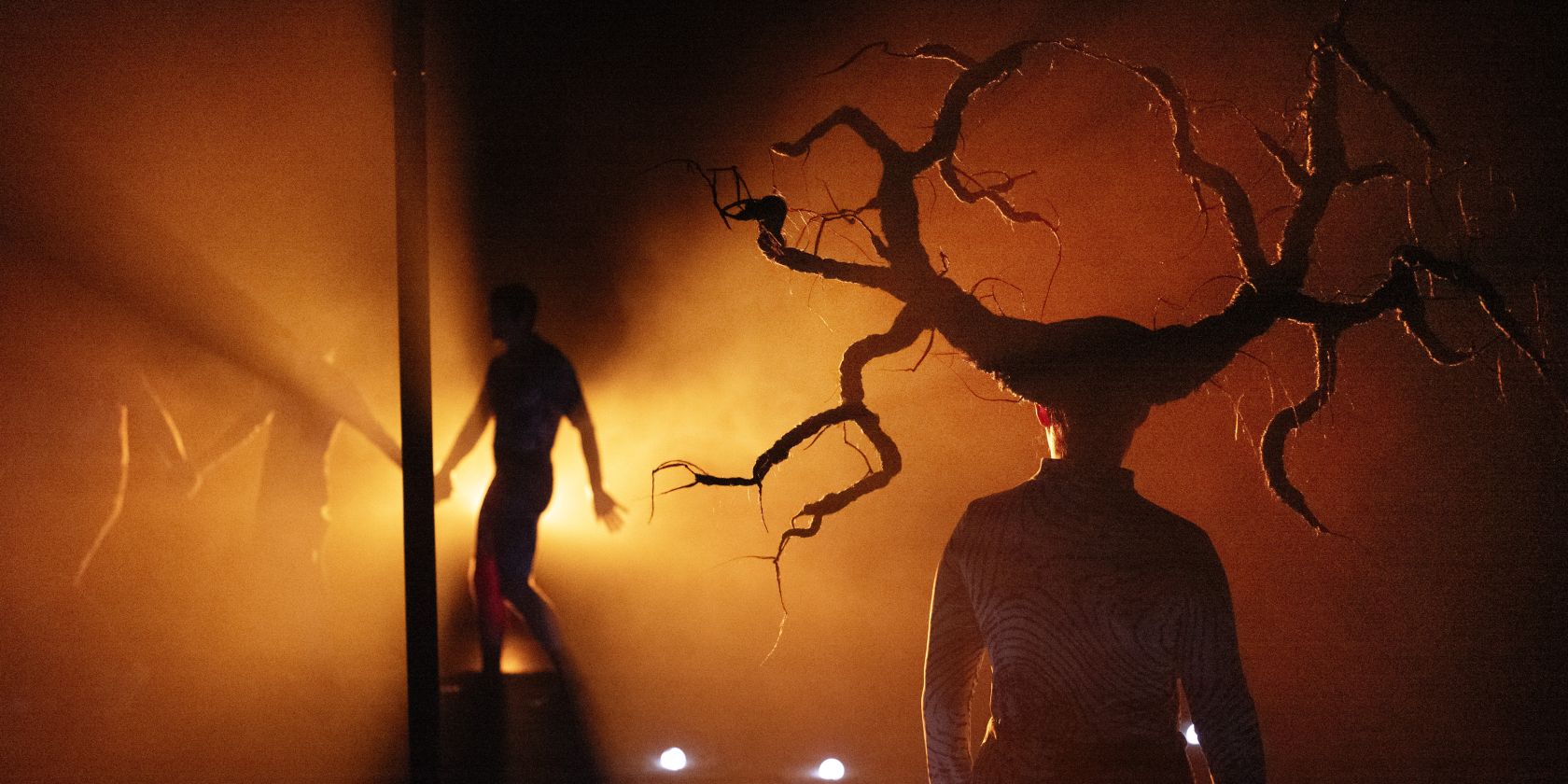 A3900164.jpg, © Armin Smailovic A3900164.jpg, © Armin Smailovic