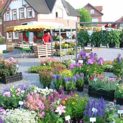 Bilder für Kalender(21), © Stadt Zeven Bilder für Kalender(21), © Stadt Zeven