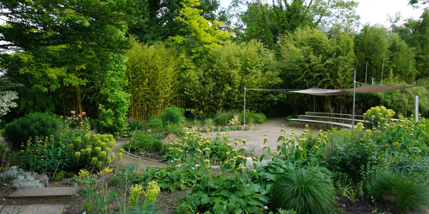 NDR-Garten im Arboretum Ellerhoop, © Arboretum Ellerhoop NDR-Garten im Arboretum Ellerhoop, © Arboretum Ellerhoop