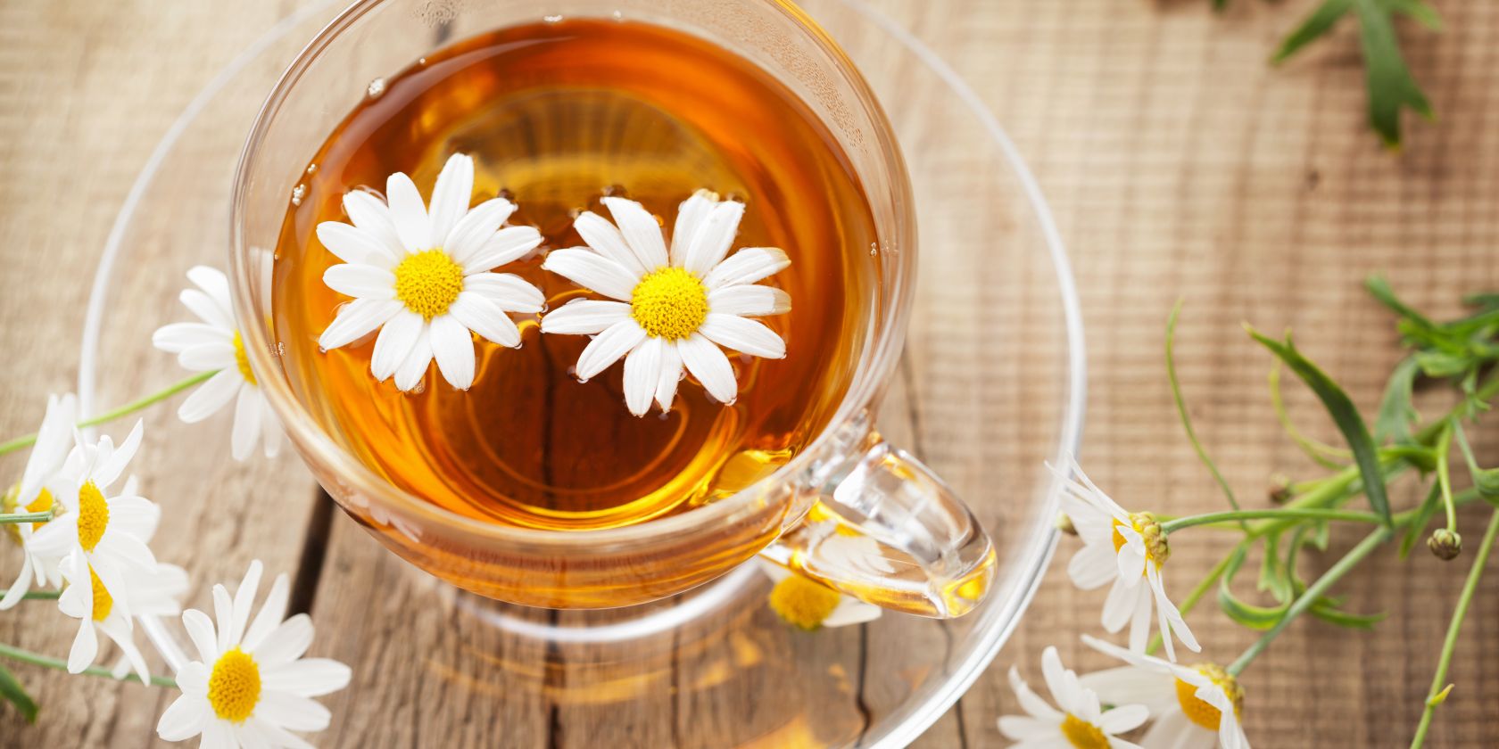 Gemeinsame Runde - spannende Stunde., © cup of herbal tea with chamomile flowers von Olga Miltsova, Adobe Stock Gemeinsame Runde - spannende Stunde., © cup of herbal tea with chamomile flowers von Olga Miltsova, Adobe Stock
