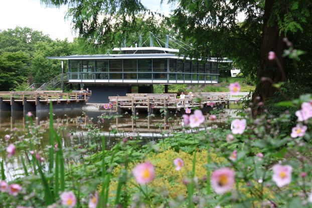 Das japanische Teehaus in Planten un Blomen, © Stephan Wallocha Das japanische Teehaus in Planten un Blomen, © Stephan Wallocha