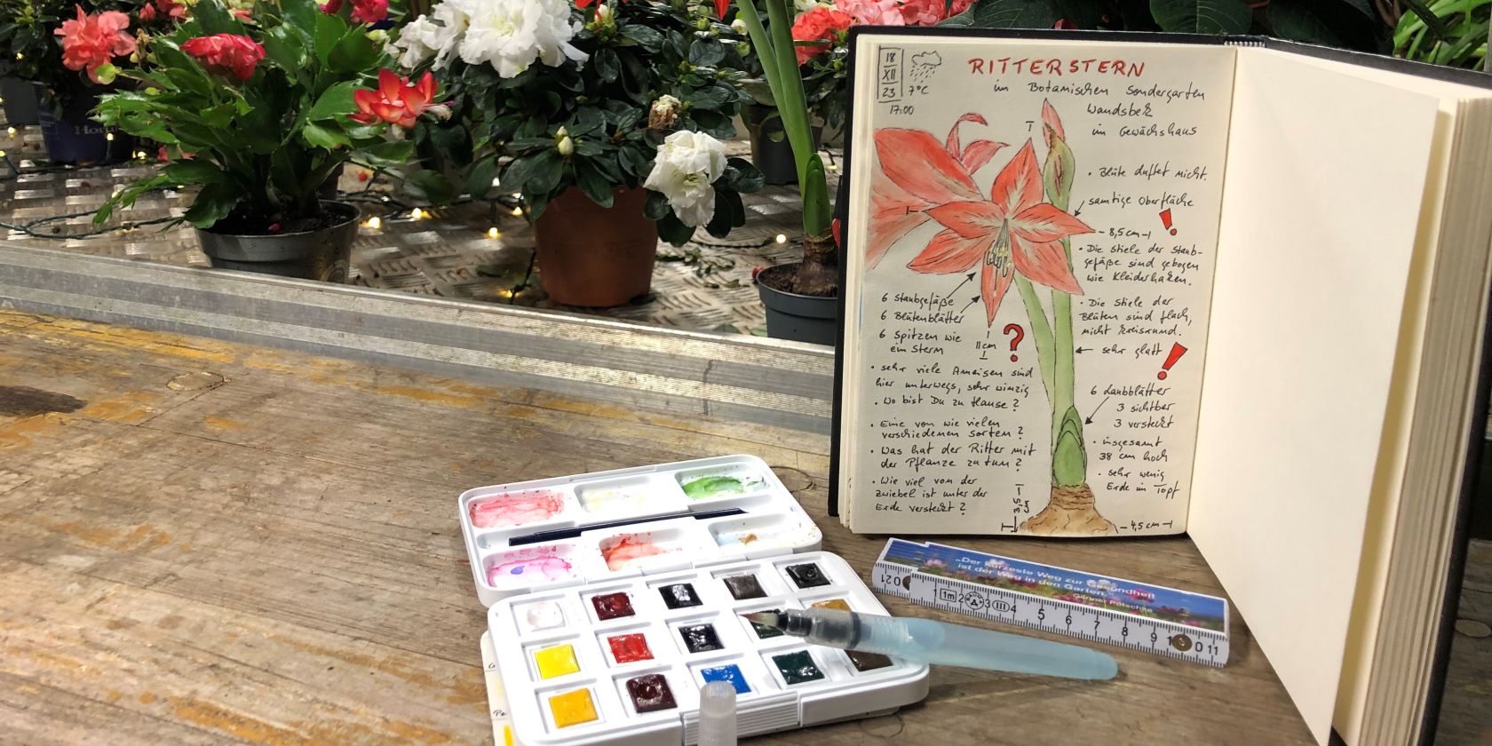 , © BIRGIT MASCH .DE , © BIRGIT MASCH .DE