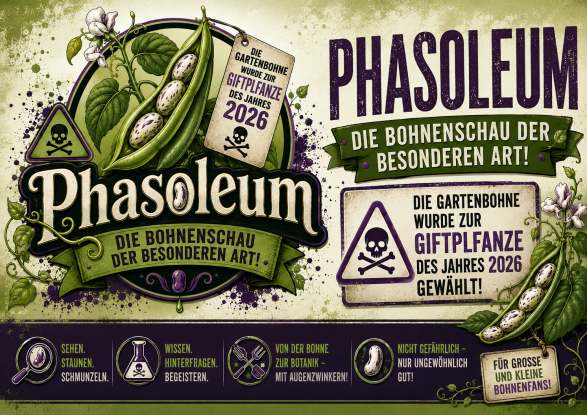 Phasoleum, © Helge Masch Phasoleum, © Helge Masch