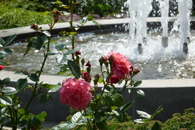 Blick auf den Brunnen, © Kreismuseum Prinzeßhof Blick auf den Brunnen, © Kreismuseum Prinzeßhof