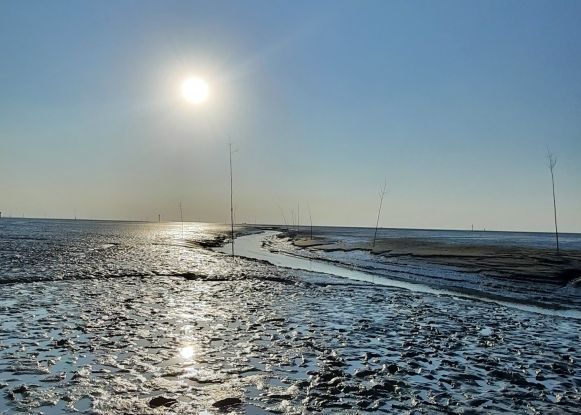 Kurs Halten fürs Wattenmeer - Wremen: Seezeichen und Fischerei im Watt entdecken (empfohlen ab 10 Jahren), © NPH Kurs Halten fürs Wattenmeer - Wremen: Seezeichen und Fischerei im Watt entdecken (empfohlen ab 10 Jahren), © NPH