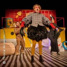 Lahme Ente, blindes Huhn, © links im Bild Lahme Ente, blindes Huhn, © links im Bild