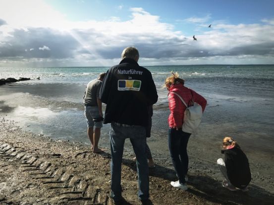 Bernsteinführung am Strand Bernsteinführung am Strand