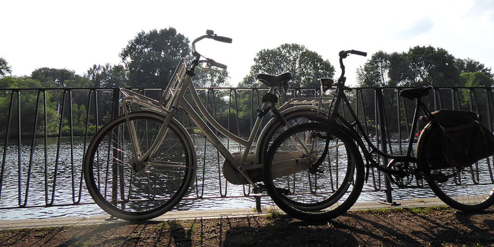Fahrradlesung durch den Ohlsdorfer Friedhof, © Ayna Steigerwald Fahrradlesung durch den Ohlsdorfer Friedhof, © Ayna Steigerwald