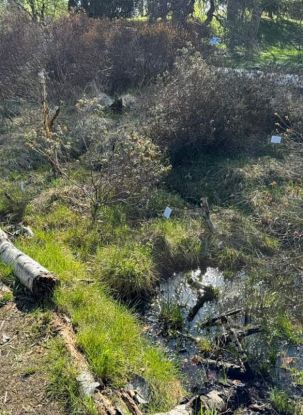 Führung: Geheimnis Moor – Zwischen Leben, Torf und Tod, Quelle: Reservix Führung: Geheimnis Moor – Zwischen Leben, Torf und Tod, Quelle: Reservix