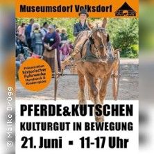 Pferde & Kutschen, © links im Bild Pferde & Kutschen, © links im Bild