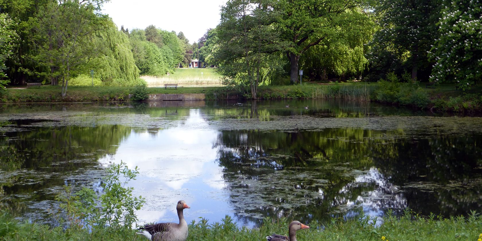 ohlsdorf-fahrradlesetour-2026-teich-foto-ayna-steigerwald, © Ayna Steigerwald ohlsdorf-fahrradlesetour-2026-teich-foto-ayna-steigerwald, © Ayna Steigerwald
