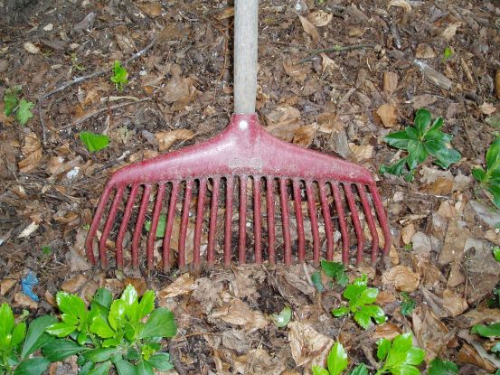 Harke - Gartenpflege im Herbst, © Helge Masch Harke - Gartenpflege im Herbst, © Helge Masch