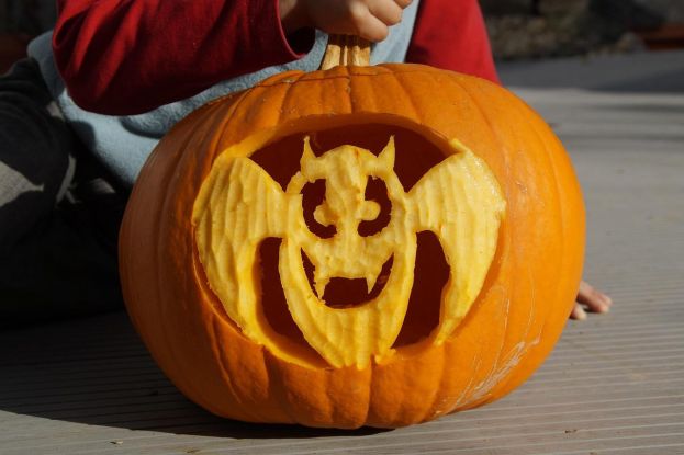 Kürbis Halloween, © Bild von M W auf Pixabay Kürbis Halloween, © Bild von M W auf Pixabay