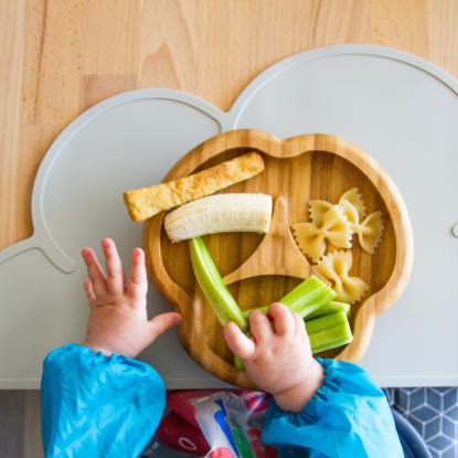 Beikost-Seminar, © canva Beikost-Seminar, © canva