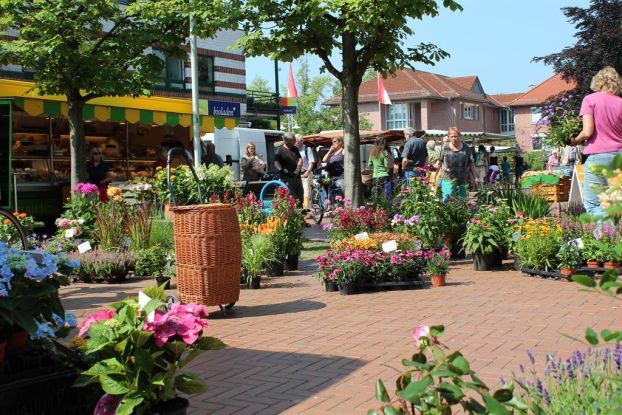 Wochenmarkt, © Stadt Schneverdingen Wochenmarkt, © Stadt Schneverdingen