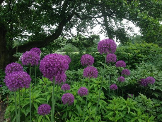 13495545_531001277084584_63842898085509703_o, © Nina Schewe 13495545_531001277084584_63842898085509703_o, © Nina Schewe