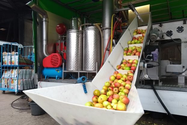 Saft pressen, © Hofgut Wulfsdorf Saft pressen, © Hofgut Wulfsdorf