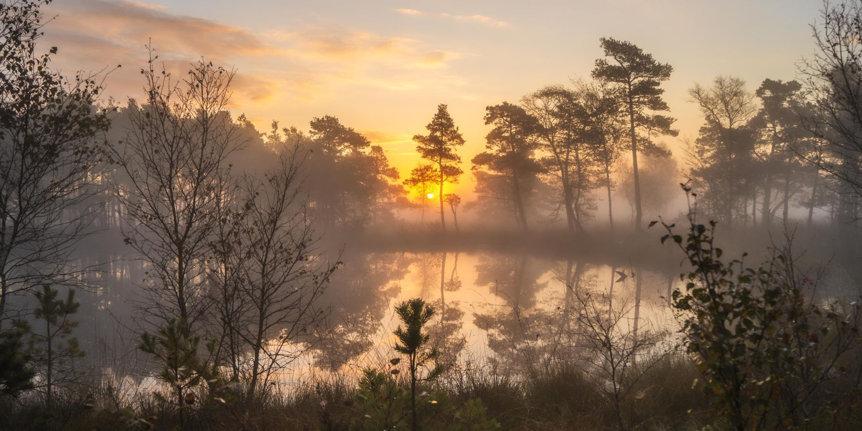 Abendwanderung durch das Pietzmoor, © Christoph Engel Abendwanderung durch das Pietzmoor, © Christoph Engel