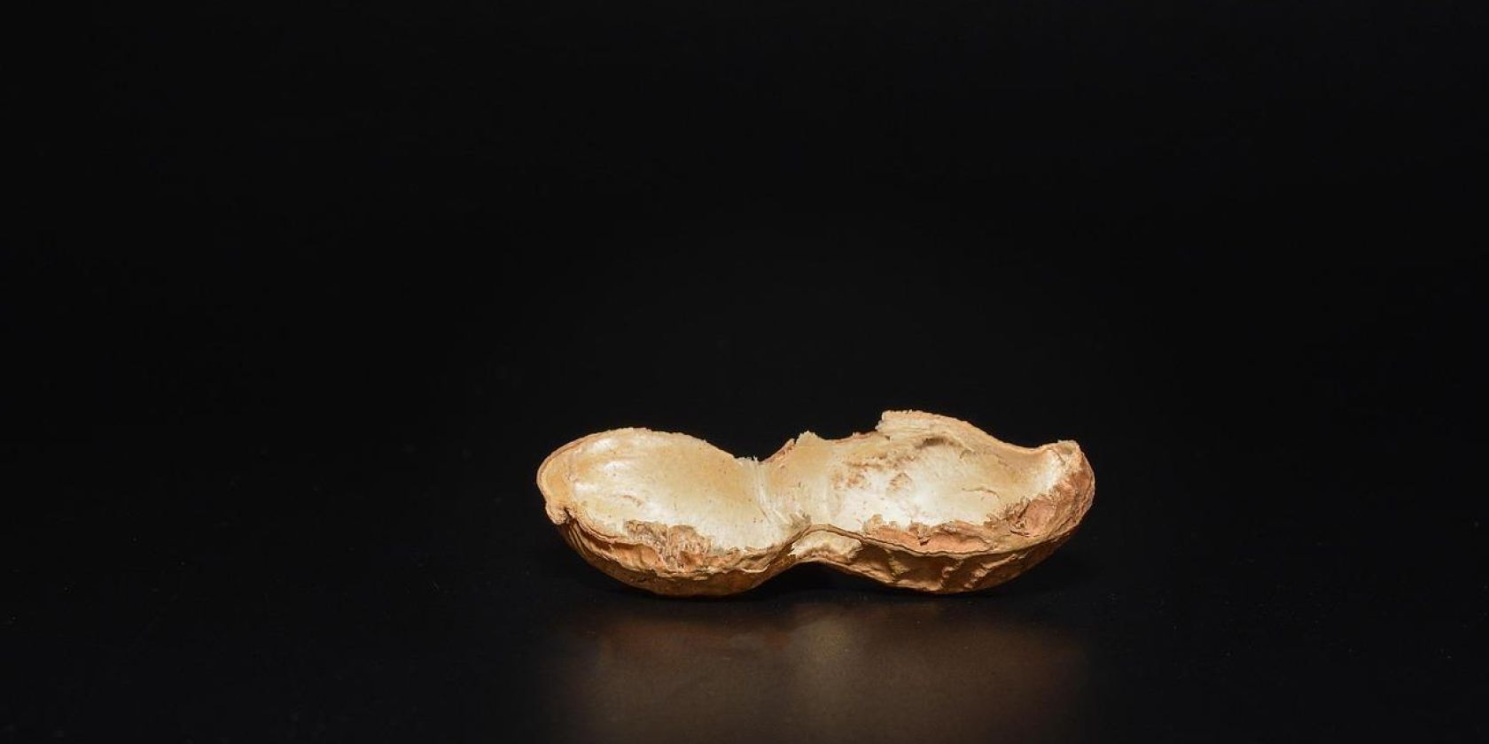 Erdnuss, © Bild von Petra auf Pixabay Erdnuss, © Bild von Petra auf Pixabay