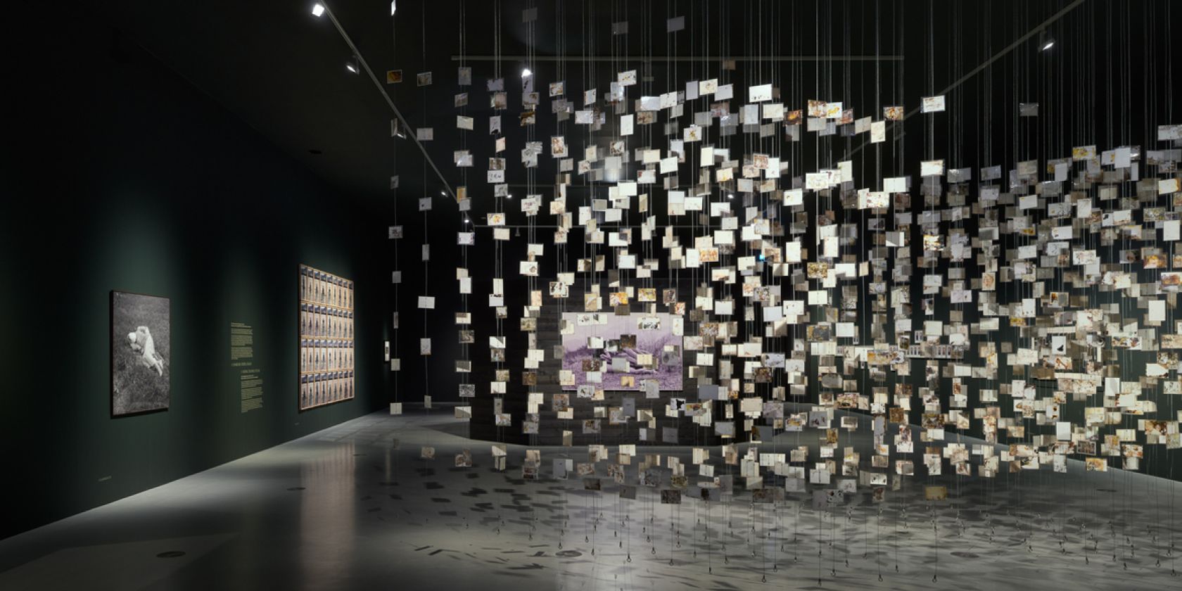 ART X LANDSCAPES OF CLIMATE CHANGE, © © Deichtorhallen Hamburg. Foto: Henning Rogge ART X LANDSCAPES OF CLIMATE CHANGE, © © Deichtorhallen Hamburg. Foto: Henning Rogge