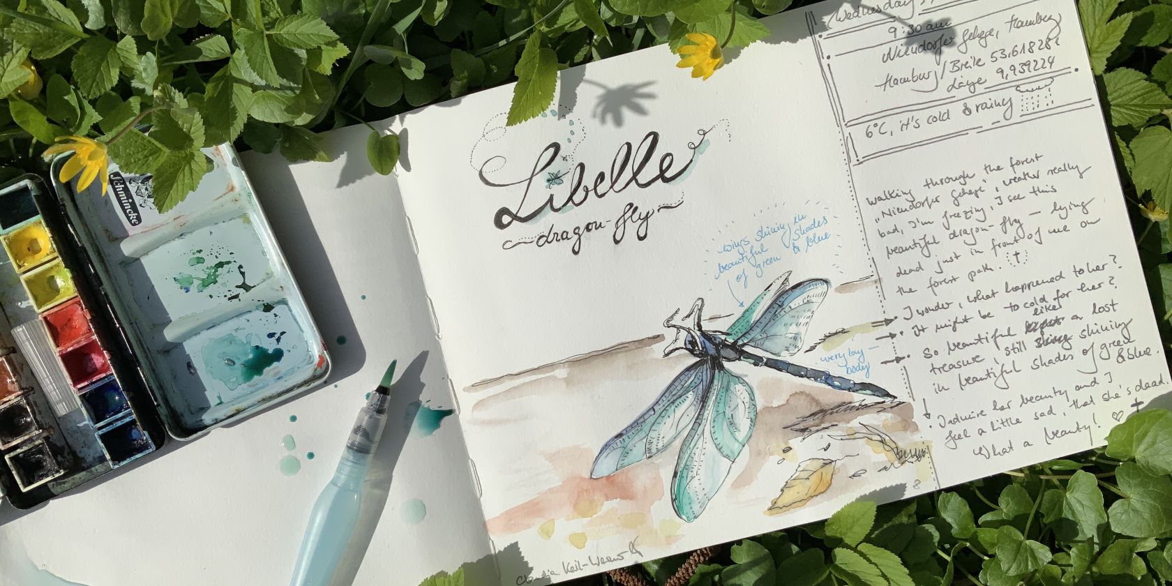 Nature Journaling, © Claudia Keil-Werner Nature Journaling, © Claudia Keil-Werner