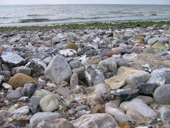 Archäologische Sprechstunde, © zeiTTor - Museum der Stadt Neustadt in Holstein Archäologische Sprechstunde, © zeiTTor - Museum der Stadt Neustadt in Holstein