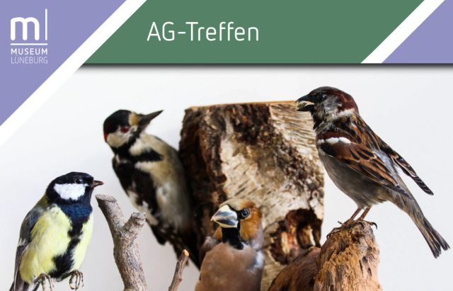 Treffen der AG Vogelkunde Lüneburg, © Museum Lüneburg Treffen der AG Vogelkunde Lüneburg, © Museum Lüneburg