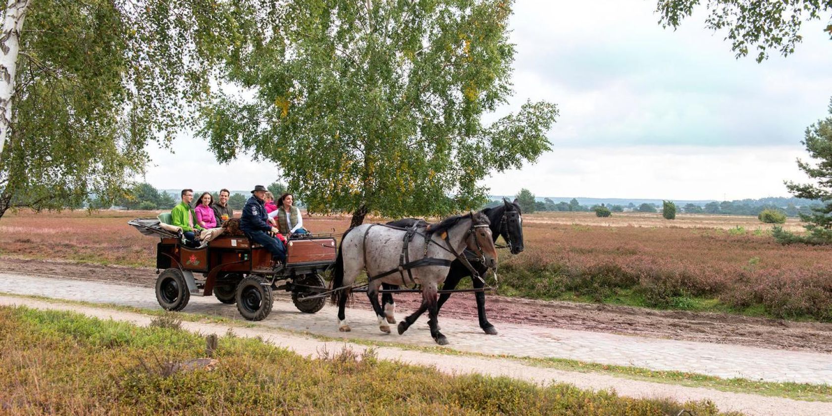 Bustour - Raus aus der Stadt, ab in die Heide, © Lüneburg Marketing GmbH Bustour - Raus aus der Stadt, ab in die Heide, © Lüneburg Marketing GmbH
