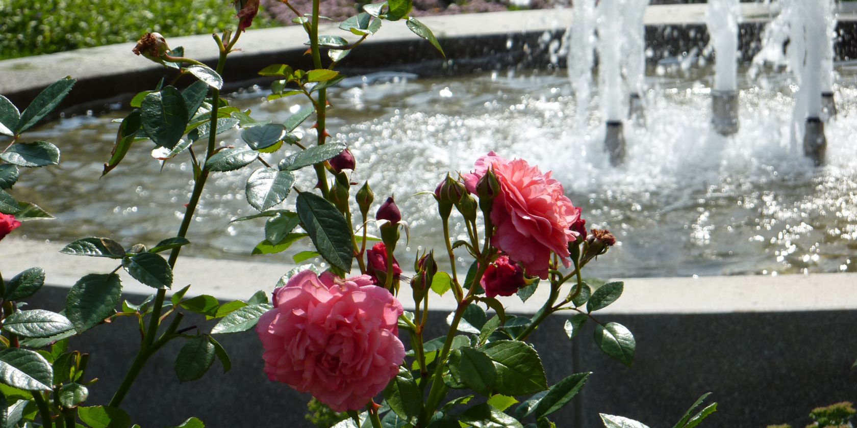 Blick auf den Brunnen, © Kreismuseum Prinzeßhof Blick auf den Brunnen, © Kreismuseum Prinzeßhof