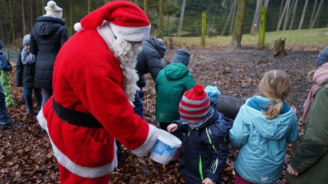 Der Weihnachtsmann und seine Helfer beim Füttern der Tiere im Wildpark Schwarze Berge, © WSB Der Weihnachtsmann und seine Helfer beim Füttern der Tiere im Wildpark Schwarze Berge, © WSB