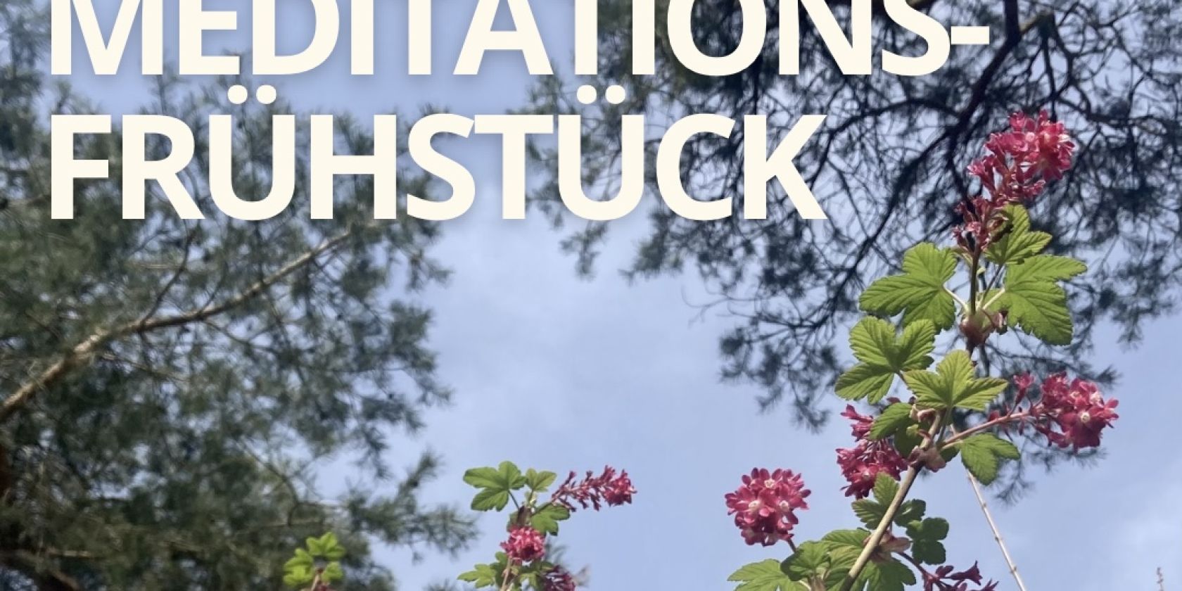 Meditations-Frühstück, © Maxine Morast Meditations-Frühstück, © Maxine Morast