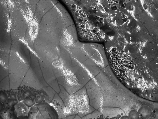 parliament-of-streams-lands-1, © Carlos Monleón parliament-of-streams-lands-1, © Carlos Monleón