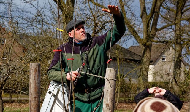 Obstbaum Schnittkurs, © Doris Blume-Winkler Obstbaum Schnittkurs, © Doris Blume-Winkler