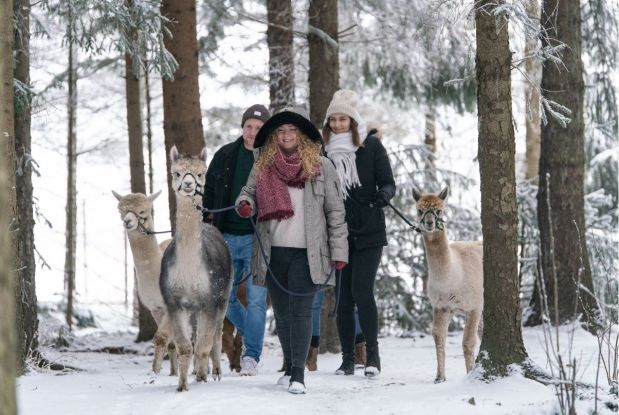 Waytalla-Alpakas-Winter-Spezial-Wanderung-Punsch, © Waytalla Alpakas GmbH Waytalla-Alpakas-Winter-Spezial-Wanderung-Punsch, © Waytalla Alpakas GmbH