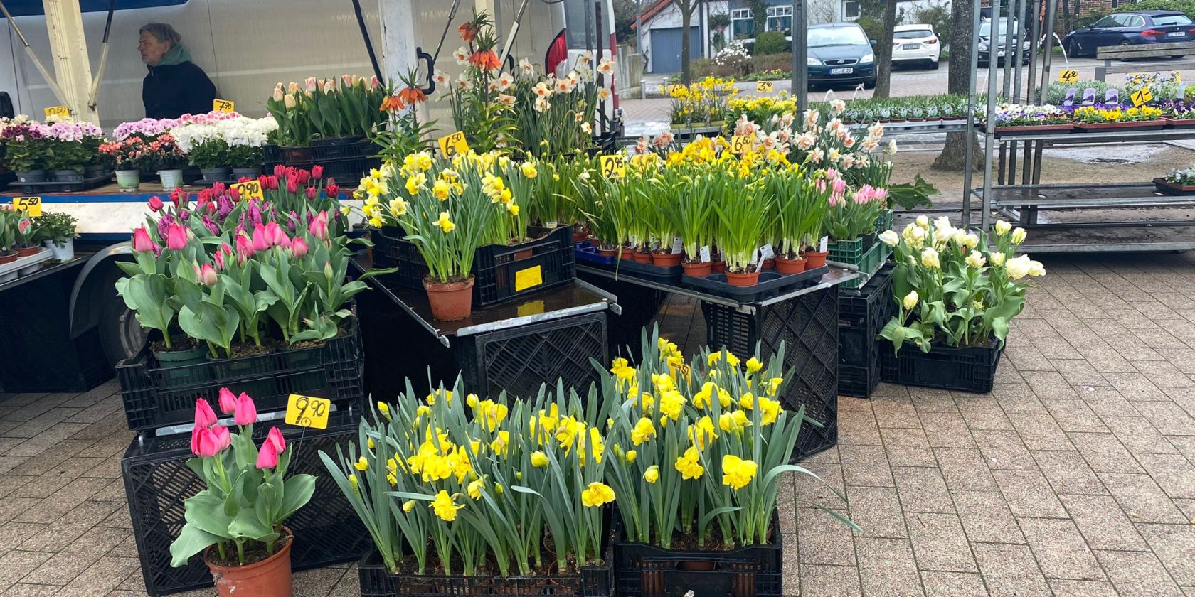 , © Lüneburger Heide GmbH , © Lüneburger Heide GmbH