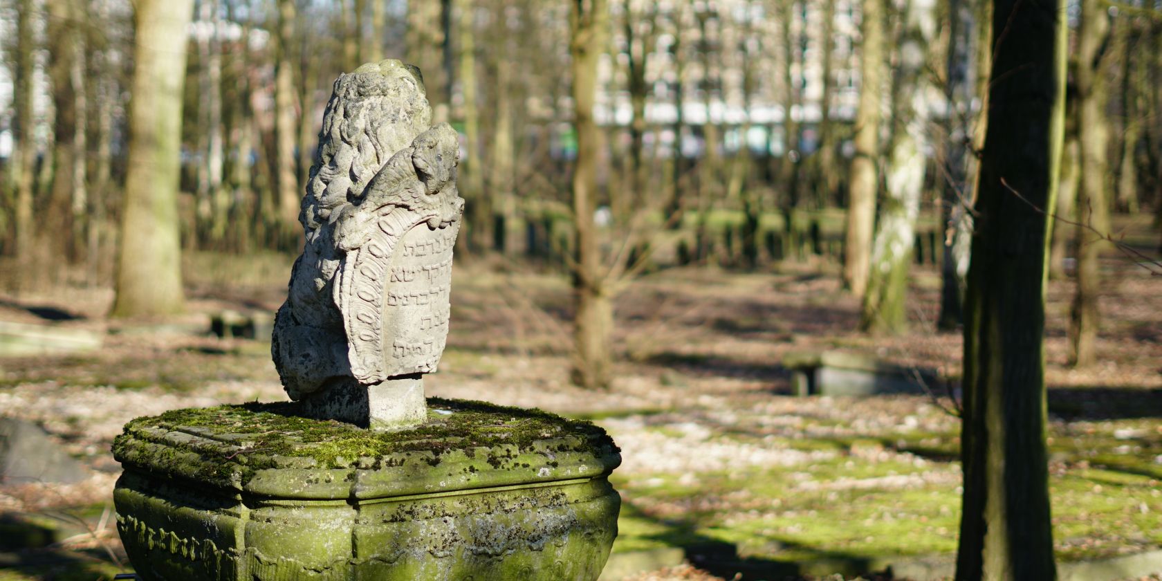 Jüdischer Friedhof an der Königstraße (2025), © Stadtteilarchiv Ottensen e.V./ Aylin Cömlek und Dirk Hempel Jüdischer Friedhof an der Königstraße (2025), © Stadtteilarchiv Ottensen e.V./ Aylin Cömlek und Dirk Hempel