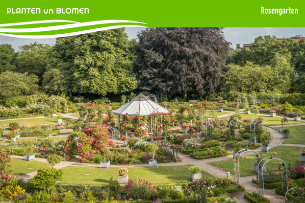 Vorlagen PuB Veranstaltungskalender (24), © Kerstin Bittner Vorlagen PuB Veranstaltungskalender (24), © Kerstin Bittner