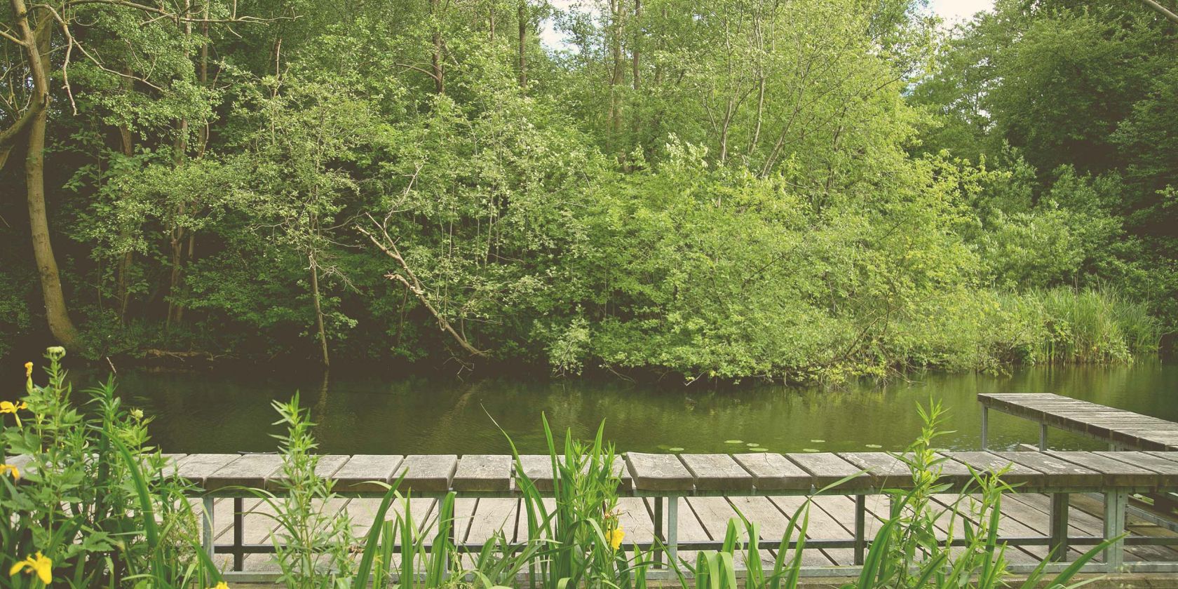Kurparkführung, © Jessen Fotografie Kurparkführung, © Jessen Fotografie
