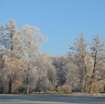 Wanderung zum Jahresbeginn, Quelle: Reservix Wanderung zum Jahresbeginn, Quelle: Reservix
