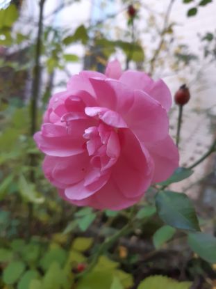 Herz Qi Gong-Wochenende, © GSI Herz Qi Gong-Wochenende, © GSI