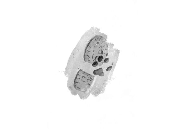 Schuh- und Pfotenabdruck, © Claus Peter Lieckfeld, Lena Winkel Schuh- und Pfotenabdruck, © Claus Peter Lieckfeld, Lena Winkel