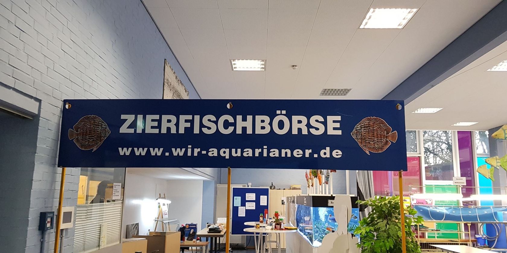 img_1404, © Wir Aquarianer img_1404, © Wir Aquarianer