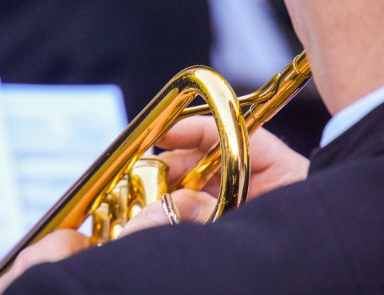 Trompeter, © Rainer Sturm, pixelio Trompeter, © Rainer Sturm, pixelio