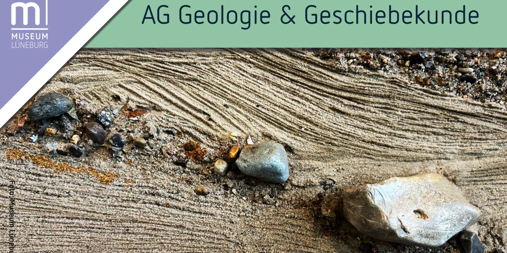 Treffen der AG Geologie & Geschiebekunde, © Museum Lüneburg Treffen der AG Geologie & Geschiebekunde, © Museum Lüneburg